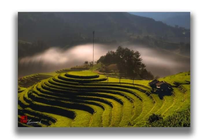 Ngoc Thuy Diem Dung Chan Len Doi Mam Xoi