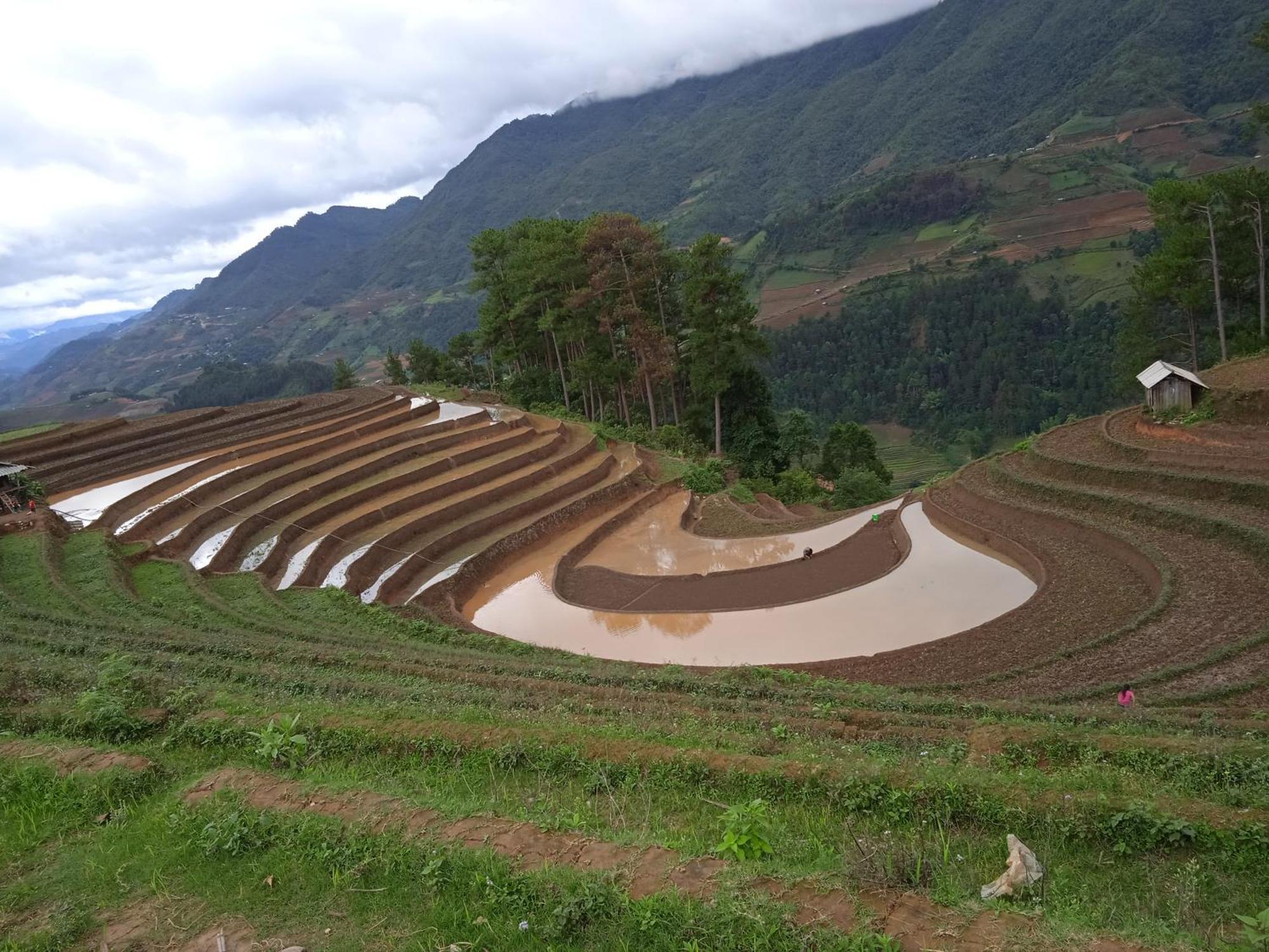 Ngoc Thuy Diem Dung Chan Len Doi Mam Xoi Homestay