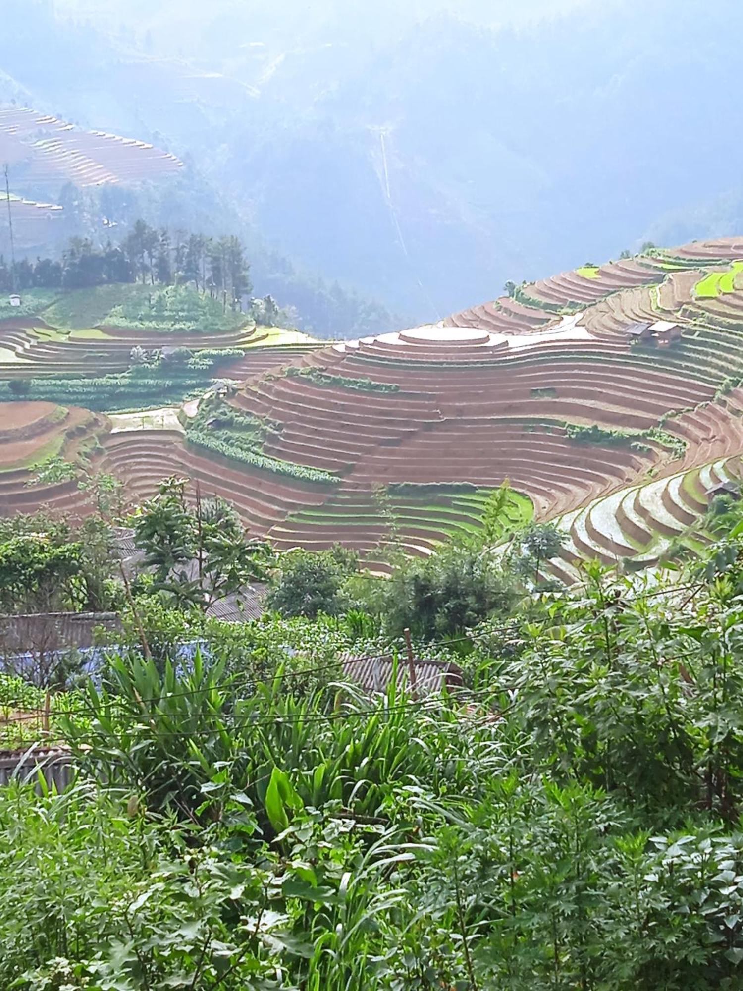 Homestay Ngoc Thuy Diem Dung Chan Len Doi Mam Xoi *