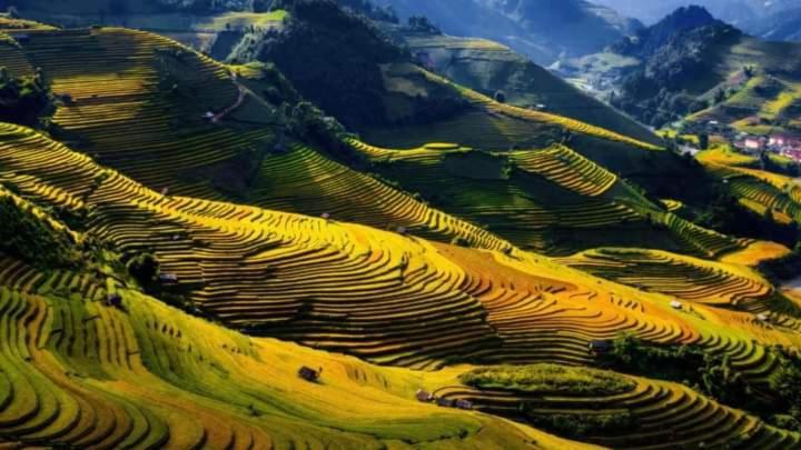 Ngoc Thuy Diem Dung Chan Len Doi Mam Xoi Homestay *