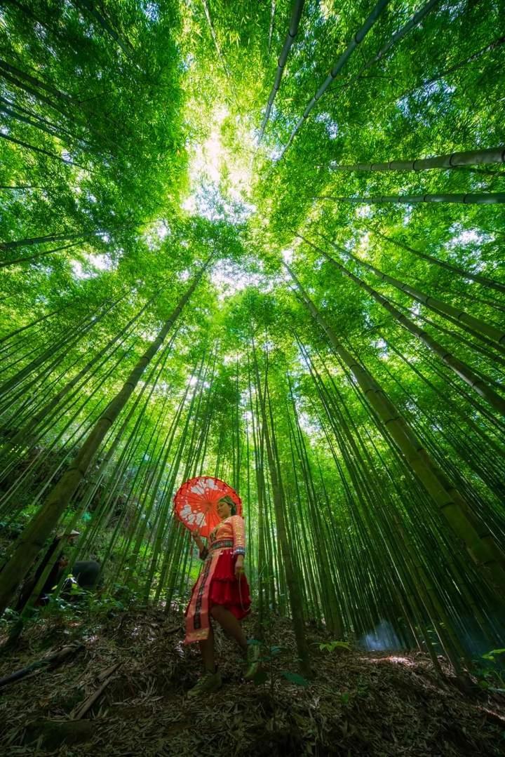 Ngoc Thuy Diem Dung Chan Len Doi Mam Xoi * Mu Cang Chai