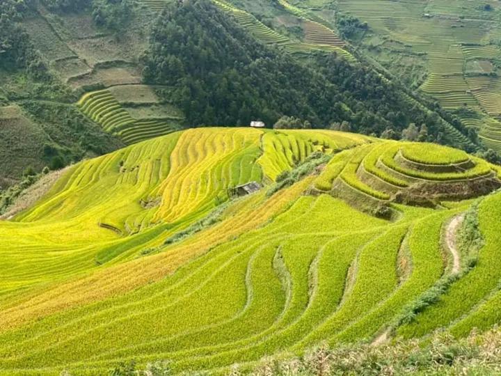 Ngoc Thuy Diem Dung Chan Len Doi Mam Xoi
